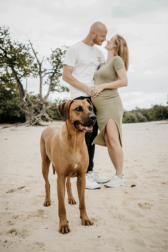 Zwangerschapsshoot in de natuur met hond ridgeback, Cadettenkamp